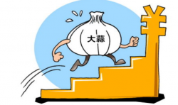 怎样利用大蒜冷库进行保鲜？